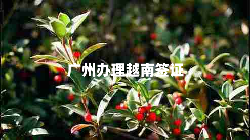 廣州辦理越南簽證