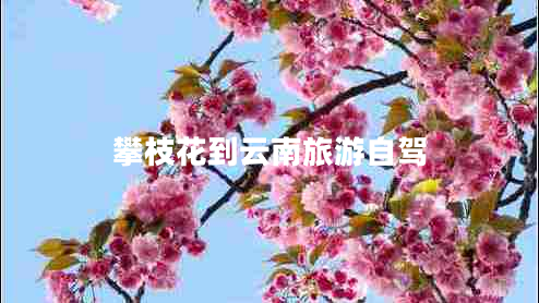 攀枝花到云南旅游自駕