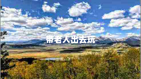 帶老人出去玩