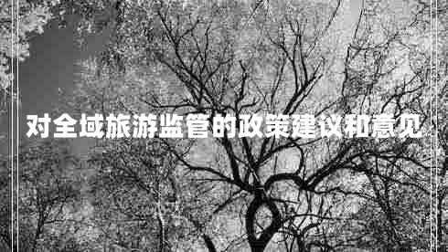 對全域旅游監(jiān)管的政策建議和意見