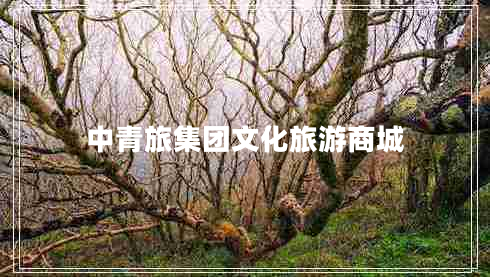 中青旅集團(tuán)文化旅游商城