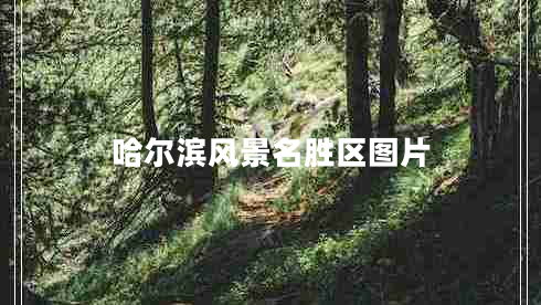 哈爾濱風景名勝區(qū)圖片