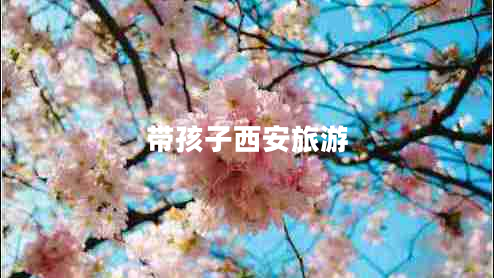 帶孩子西安旅游 帶孩子西安旅游