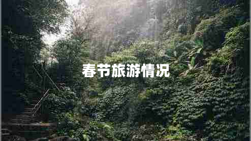 春節(jié)旅游情況