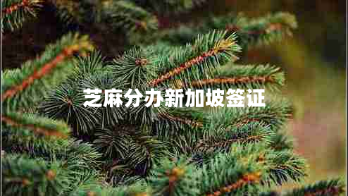 芝麻分辦新加坡簽證