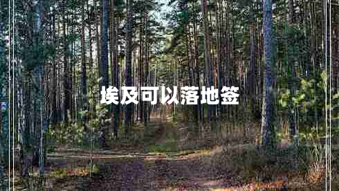 埃及可以落地簽