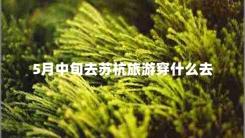 5月中旬去蘇杭旅游穿什么去