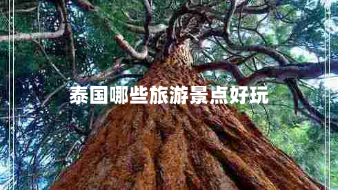 泰國哪些旅游景點好玩 泰國哪些旅游景點好玩