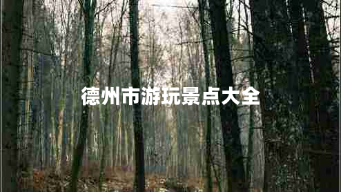 德州市游玩景點大全