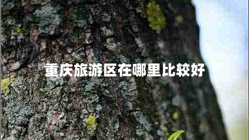 重慶旅游區(qū)在哪里比較好