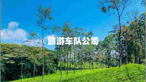 旅游車隊公司