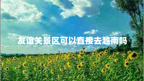 友誼關(guān)景區(qū)可以直接去越南嗎