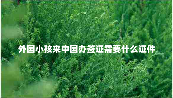 外國小孩來中國辦簽證需要什么證件 外國小孩來中國辦簽證需要什么證件