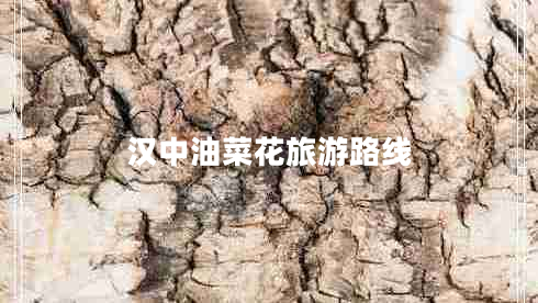 漢中油菜花旅游路線