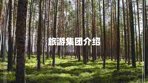 旅游集團(tuán)介紹