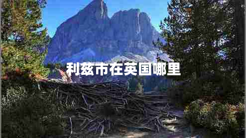 利茲市在英國(guó)哪里