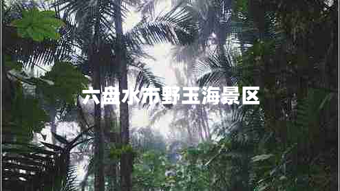 六盤水市野玉海景區(qū)