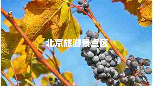 北京旅游景點(diǎn)區(qū) 北京旅游景點(diǎn)區(qū)