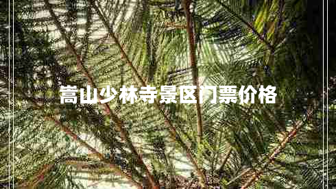 嵩山少林寺景區(qū)門票價格