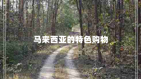 馬來(lái)西亞的特色購(gòu)物