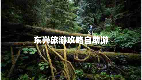 東興旅游攻略自助游 東興旅游攻略自助游