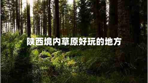 陜西境內草原好玩的地方