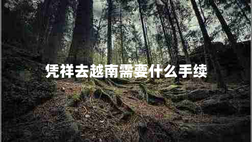 憑祥去越南需要什么手續(xù)