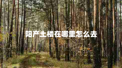 陽產土樓在哪里怎么去