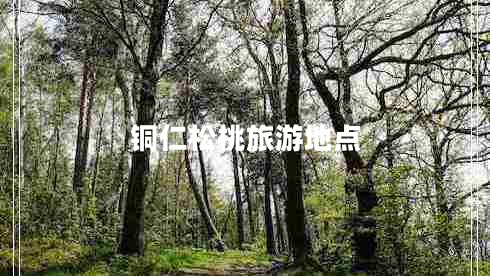 銅仁松桃旅游地點(diǎn) 銅仁松桃旅游地點(diǎn)