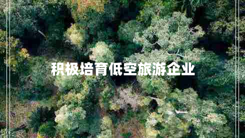 積極培育低空旅游企業(yè) 積極培育低空旅游企業(yè)