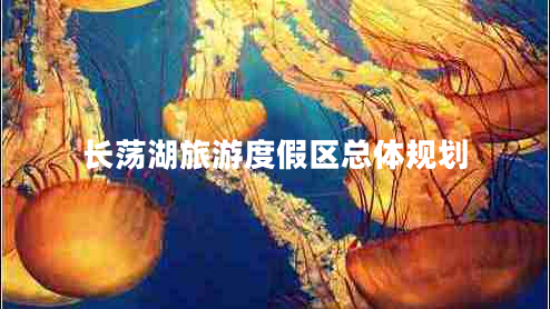 長蕩湖旅游度假區(qū)總體規(guī)劃