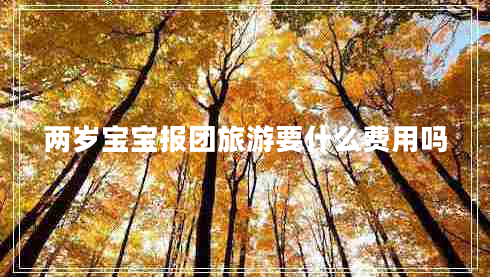兩歲寶寶報團(tuán)旅游要什么費用嗎
