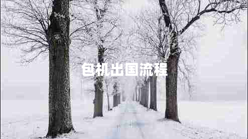 包機(jī)出國流程