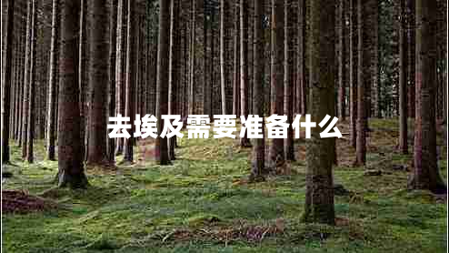 去埃及需要準(zhǔn)備什么