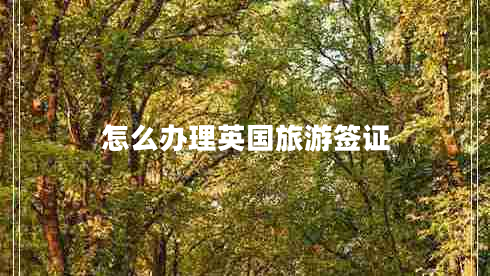 怎么辦理英國旅游簽證