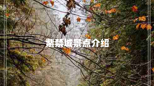 紫禁城景點(diǎn)介紹