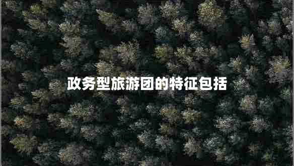 政務(wù)型旅游團(tuán)的特征包括