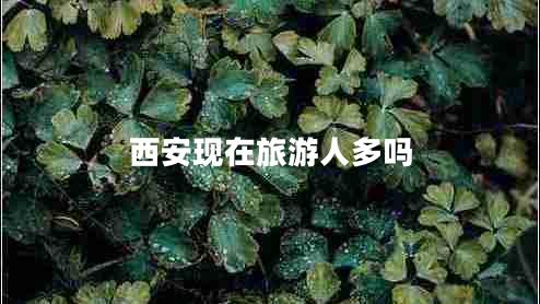 西安現(xiàn)在旅游人多嗎