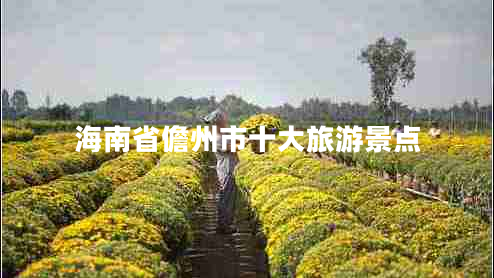 海南省儋州市十大旅游景點(diǎn) 海南省儋州市十大旅游景點(diǎn)
