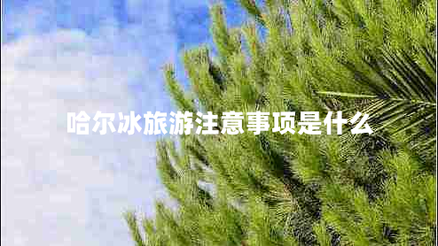 哈爾冰旅游注意事項(xiàng)是什么