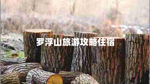 羅浮山旅游攻略住宿 羅浮山旅游攻略住宿