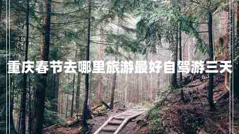 重慶春節(jié)去哪里旅游最好自駕游三天 重慶春節(jié)去哪里旅游最好自駕游三天