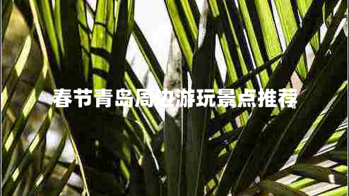 春節(jié)青島周邊游玩景點(diǎn)推薦