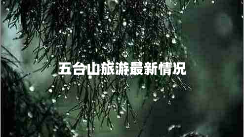 五臺(tái)山旅游最新情況