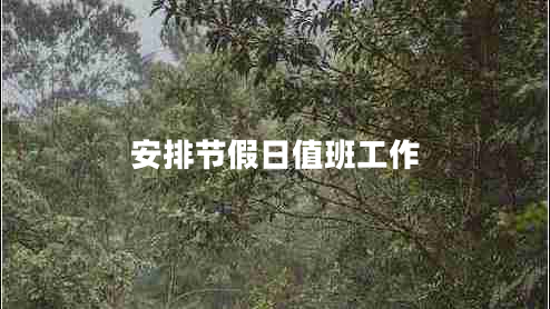 安排節(jié)假日值班工作 安排節(jié)假日值班工作