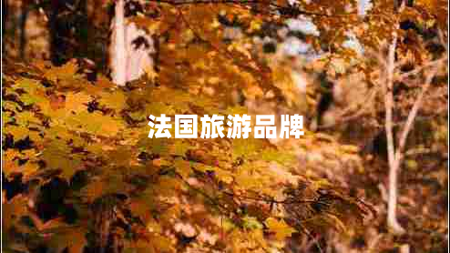 法國旅游品牌 法國旅游品牌