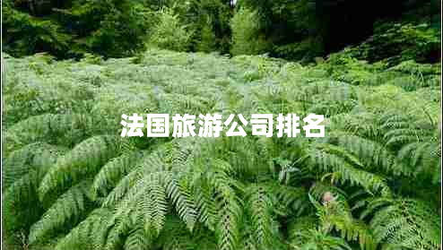 法國(guó)旅游公司排名