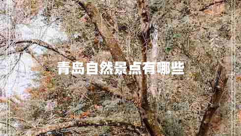 青島自然景點(diǎn)有哪些