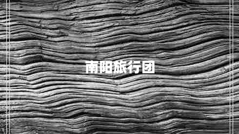 南陽旅行團