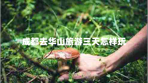 成都去華山旅游三天怎樣玩